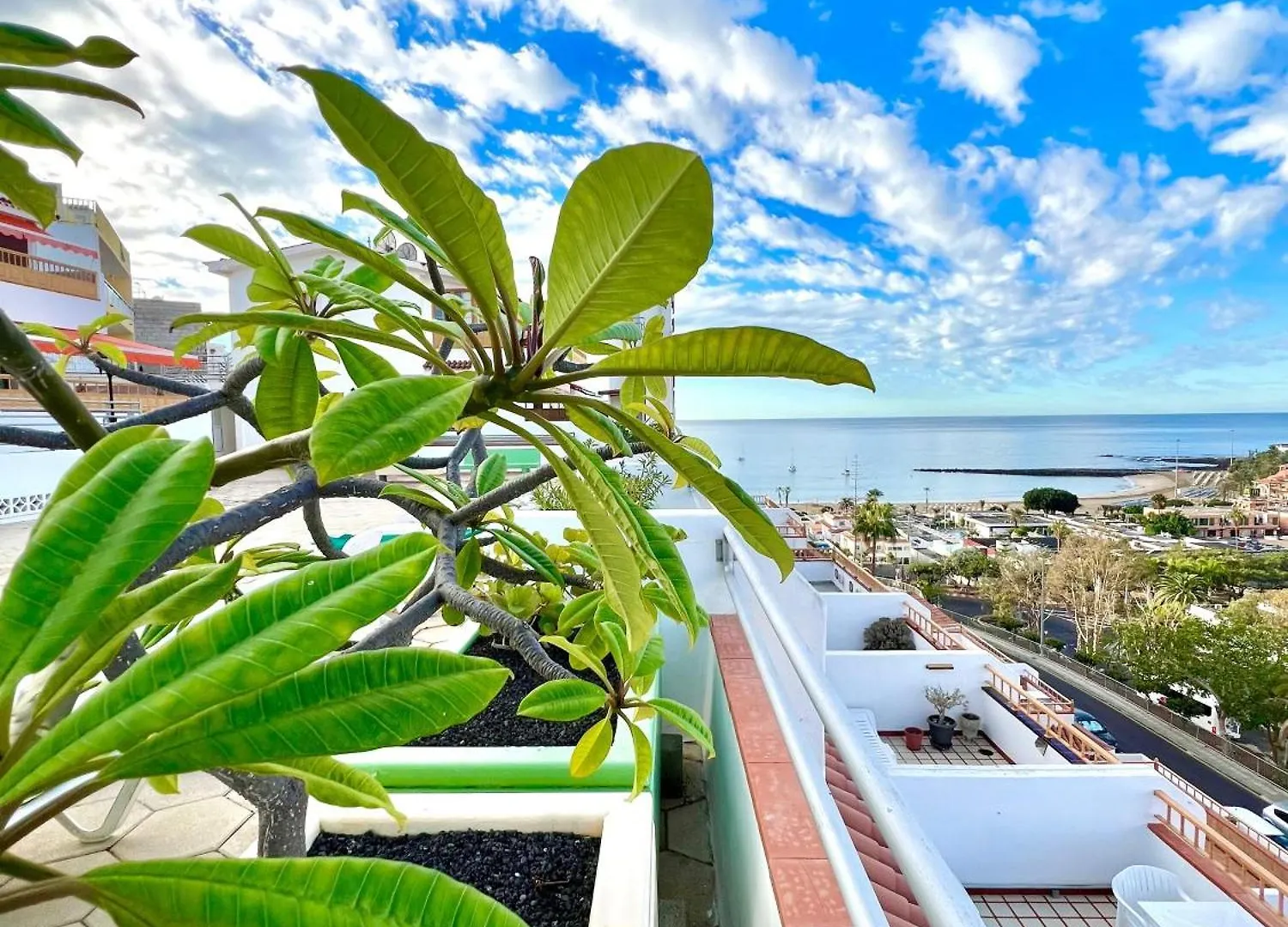 Las Vistas Dream Los Cristianos  Apartment