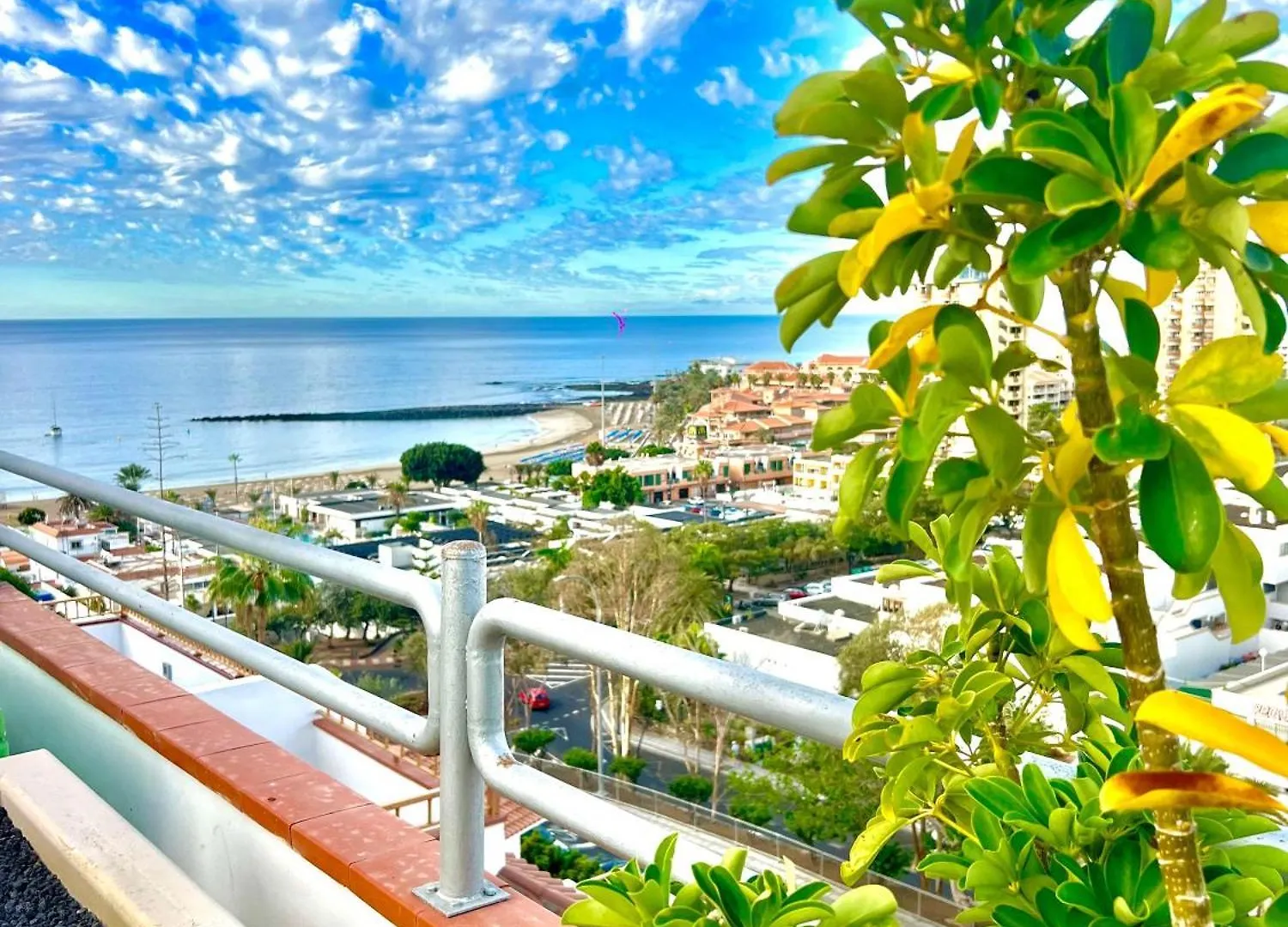 Las Vistas Dream contacts